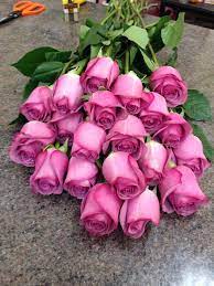 Pink Roses Roses Flowers Flower Shop Florist Shop Unforgettable Flowers Cork Florist Cork Same Day Flower Delivery Flower Delivery Flowers Online
