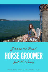 Jobs On The Road Horse Groomer Featuring Kat Casey Work Abroad Travel Inspiration Full Time Travel