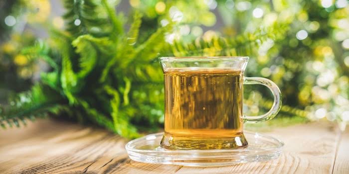 Therapeutic fasting: how to get through it well - Galaxus