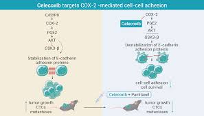 Image result for Celecoxib