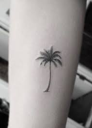 Vector palm beach tree leaves jungle botanical. 160 Palm Tree Tattoos Ideas Tattoos Palm Tree Tattoo Tree Tattoo