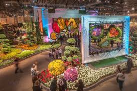 Flower Show Philadelphia Flower Show Flower Show Get Well Soon Flowers