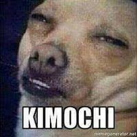 Steam Workshop::The meme coagulation