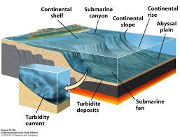 Submarine Canyon