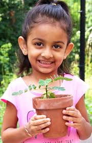 Notes From The Pantry