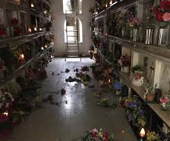 Informazioni riguardo a sconcertata nel dizionario e nell'enciclopedia inglesi online. Atti Vandalici Nel Cimitero Di Canneto Fara Sabina Bertini Indignato E Sconcertato Rietinvetrina