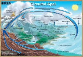 Emisiunea este o radiografie ludica a unei societati cosmopolite moderne. Circuitul Apei The Water Cycle Romanian