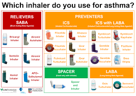 It is one of the seven colors of the rainbow along with red, orange, yellow, green, indigo and violet. Asthma Inhaler Chart Baran
