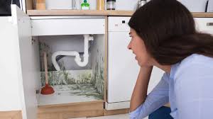Evacuation D Eau Cuisine Bouchee Comment Gerer