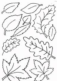 So next time, your kid comes up to you to make a replica of a certain. Coloring Page Leaf Coloring Pages 7 Fall Leaves Coloring Pages Leaf Coloring Page Fall Coloring Pages