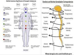 Biofield tools to view the chakras, meridians, nadis and acupuncture points. Image Result For Biofield Tuning Map Energetic Energy Healing Emotions