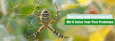 This part of the state regularly gets huge amounts snow from bats are major pests from may through september. Home Colliers Pest Control
