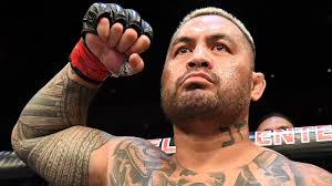 On this page, we also show you cheap bus tickets for the st. Paul Gallen Vs Mark Hunt Fight Sonny Bill Williams Bout May Be On Cards Hunt Says