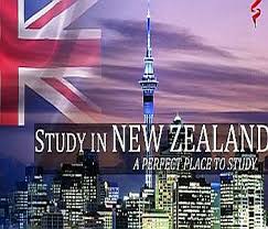 To apply for citizenship, you must have been a resident for at least 5 years, and only travelled out of new zealand for a short amount of time each year. Study In New Zealand Not A Pathway To Citizenship