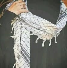 Pin By جنى On زينبيات In 2020 Muslim Beauty Stylish Girls Photos Hijabi Girl