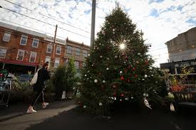 Decorating for the holidays isn't confined to the indoors. Christmas Tree Farms Near Philly In Pennsylvania And New Jersey