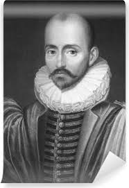 Pillow Cover Michel de Montaigne