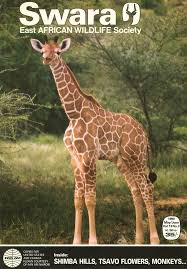 Image result for Centemopsis kirkii