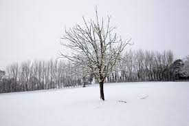 (risposta) inverno è sede di suddivisone amministrativa di terzo ordine (città, villaggio) Inverno 10 Cose Che Forse Non Sai