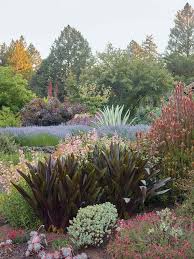 Three Dreamy California Gardens California Native Landscape California Native Garden Drought Tolerant Landscape California