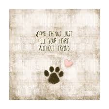 Dog Quotes Of The Week 7 28 14 8 1 14 Dog Quotes Animal Quotes Words