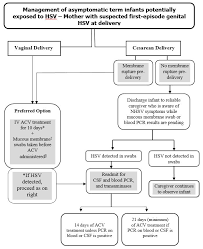 Who gets hsv and how is it spread? Prevention And Management Of Neonatal Herpes Simplex Virus Infections Canadian Paediatric Society