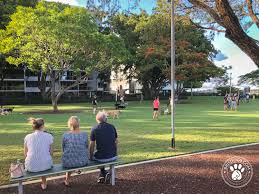 Near the dog park itself is a curious little marble sculpture. Powerhouse Park New Farm Dog Park The Brisbane Dogs Directory