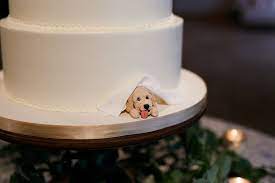 50 Too Cute Ways To Include Your Pet In Your Wedding Wedding Pets Dog Wedding Wedding Cake Toppers