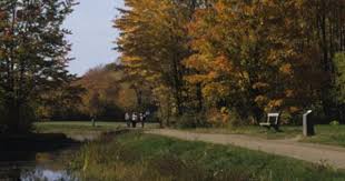 Pin By Joe Goldian On Cleveland Metroparks Cleveland Metroparks Bradley Wood Scenic