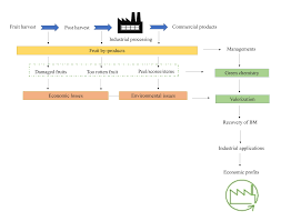 Nopal cactus is a type of vegetable produced using the delicate stack of immature thorny prickly pear fruit. Molecules Free Full Text Management Of Fruit Industrial By Products A Case Study On Circular Economy Approach Html