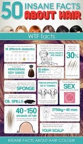50 Insane Facts About Hair Infographic Hair Facts About Hair Hair Essentials