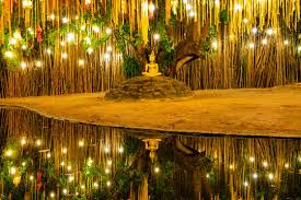 bodhi_tree