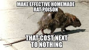 effective homemade rat poison that cost