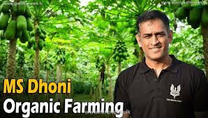 Ms Dhoni To Export Vegetables Takes On Farming Post Retirement Photos Hiru News Srilanka S Number One News Portal Most Visited Website In Sri Lanka
