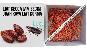 We did not find results for: 12 Meme Salah Lihat Di Bulan Puasa Ini Lucu Banget Bikin Ceria Puasamu
