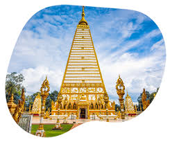 Cô nàng đầu bếp của tôi, lối rẽ con tim, nabi, tôi sẽ không yêu em, cô vợ bắt buộc, minh châu rực rỡ. Boxme Giáº£i Phap Má»Ÿ Rá»™ng Thá»‹ TrÆ°á»ng Kinh Doanh Táº¡i Thai Lan