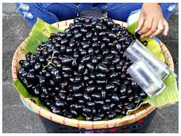 Large heart shaped blood plums, dark red skin with some spotting, and deep red, juicy sweet flesh with excellent flavour. Jamun Benefits Cleaning And Storing Tips Uses And Recipes You Need To Try The Times Of India