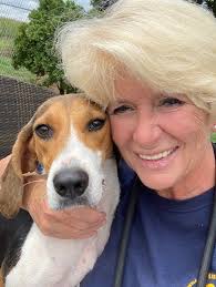 Hazel is one of our new arrivals at the Tunica Humane Society. This  beautiful dog is so sweet and perfectly healthy. She was hours away from  being euthanized at a kill shelter