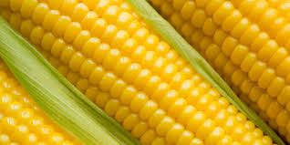 Terdapat 221 penyuplai jagung rebus, sebagian besar berlokasi di asia. 8 Manfaat Jagung Manis Untuk Kesehatan Merdeka Com