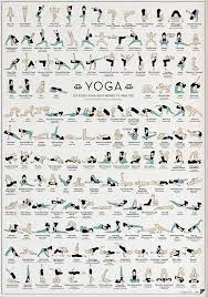 Precision and perfection are the key words in iyengar yoga. Pin By Robena Sudler On Yoga1 Yoga Poses Pictures Yoga Infographic Yoga Poster