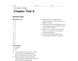 Dna to protein study guide by habijean includes 41 questions covering vocabulary, terms and more. Chapter 8 From Dna To Proteins Test Proteinwalls
