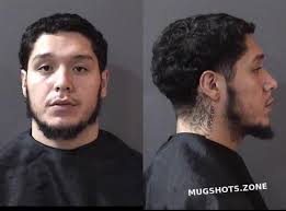 DELREAL RAUDEL JOSE JUNIOR 01/19/2022