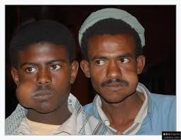 Картинки по запросу что жуют йеменцы