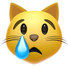 Crying Cat Face Cat Crying Cat Face Cat Behavior