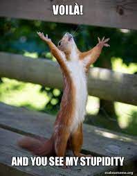 Regardez moi, ou du moins ce qu'il en reste regardez moi, avant que je me déteste. Voila And You See My Stupidity Happy Squirrel Make A Meme