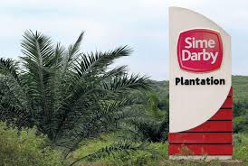 How has sime darby plantation berhad's share price performed over time and what events caused price analyst future growth forecasts. Stake Sale In Sime Plantation S Indonesian Unit Seen To Aid Replanting Exercise