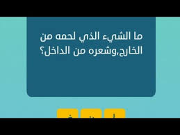 ما الشيء الذي لحمه من الخارج وشعره من الداخل كلمات متقاطعة Youtube