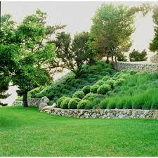 Pin By Iva Star On Garden Steep Hill Landscaping Sloped Garden Hillside Landscaping