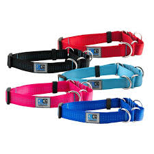 Maybe you would like to learn more about one of these? Canine Equipment Martingale Collar For Dogs