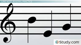 The musical/rhythmic intelligence is represented in the brain in both the left and right hemispheres, as well as the limbic system (emotional). Musical Intelligence Definition Experiments Characteristics Video Lesson Transcript Study Com